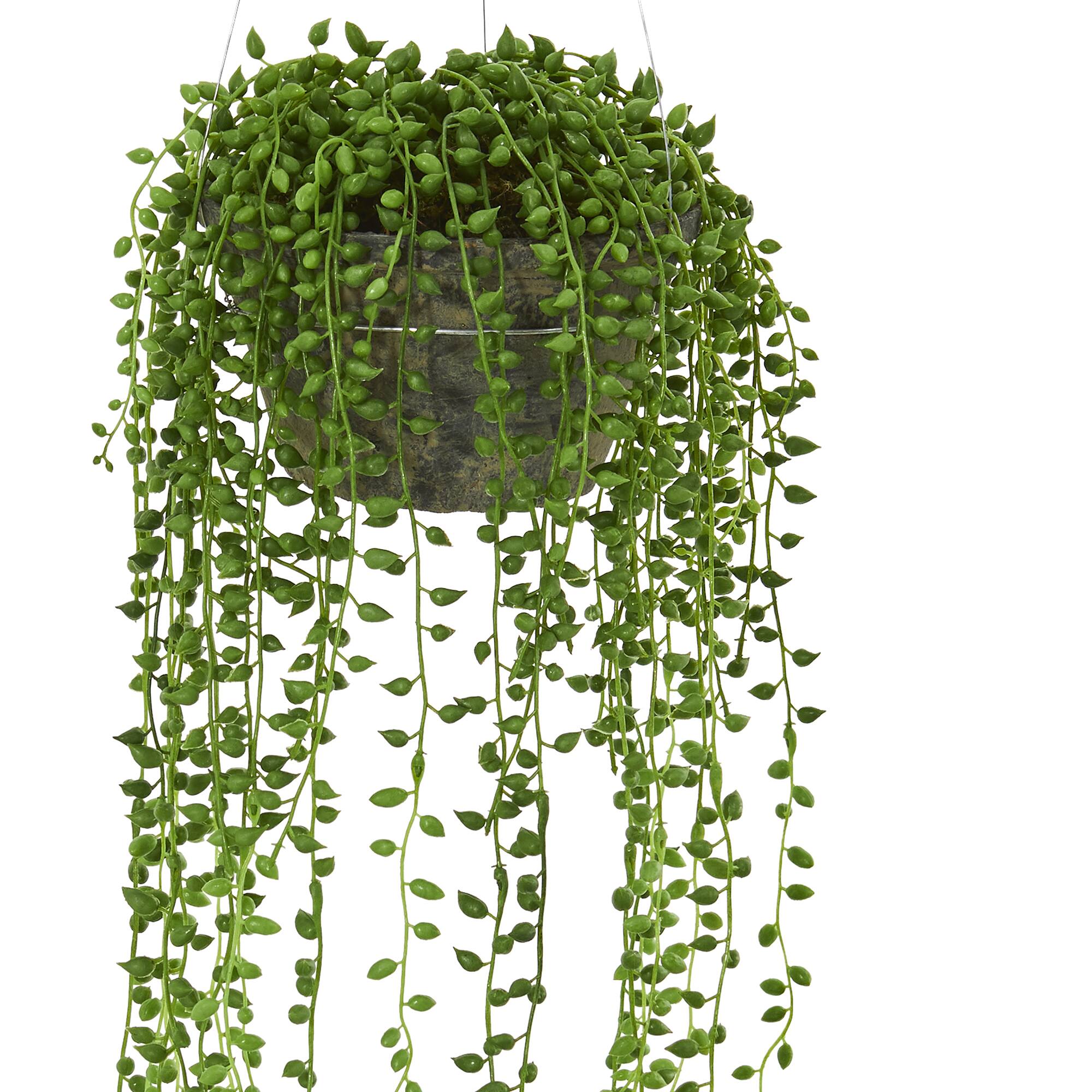 21" String of Pearl Hanging Basket